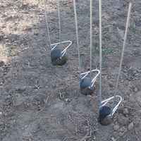 Outil de plantation agricole professionnel DIY avec plusieurs tailles pour le creusement de trous, le repiquage et l'extraction du sol