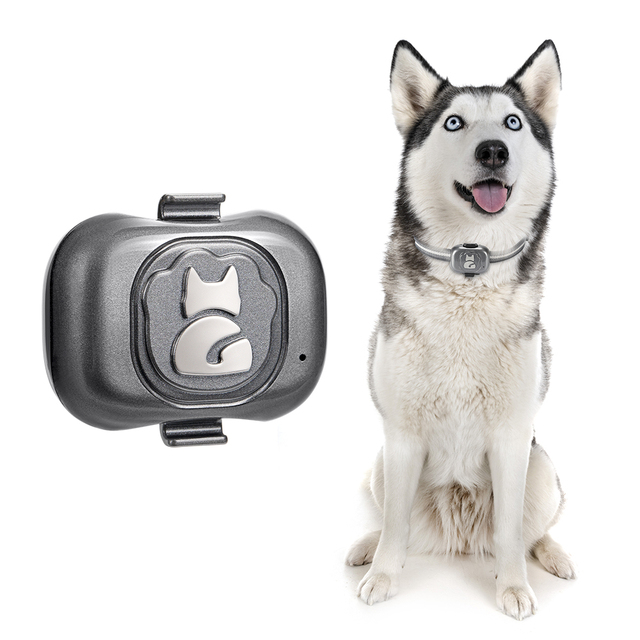 365GPS Super Mini GPS Tracker Chip G16 Pet Finder Locator Smallest Waterproof Anti-lost Cheap Tracking Smart Collar for Dog Cat
