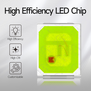HuanYu 2835 LED SMD para Acuario, Rojo 620nm, Azul 460nm, Fósforo 3 en 1, 60mA, 8V, Lámpara para Cultivo de Plantas, Arrecifes de <span class=keywords><strong>Coral</strong></span>, Peces, Iluminación de Acuarios - Product Image 3