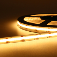 Bande lumineuse LED RGBIC Dreamcolor Flex COB Stripe tira de luces Adressable Programmable 12 24 volts Digital RGB IC