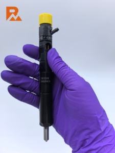 Injecteur CR 166003978R R02101Z/R04101D/28232242 pour moteur K9K700 (EJBR02101Z) - Product Image 6