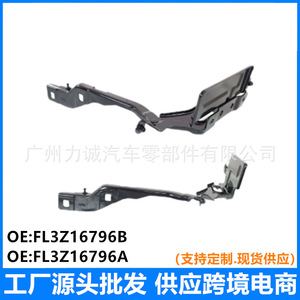 Ensemble de capot avant gauche avec charnière pour Ford F-150 Raptor, nouveau capot moteur en acier, y compris boulons et vis - Product Image 5