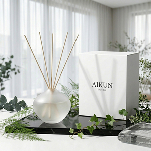 Aikun Modern Custom IP12 Fresh Blend Frosted Glass Globe 120ml Reed <b>Diffuser</b> Aroma Gift Box Set For Window Side Living Room - Product Image 1