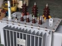 100kVA-2500kVA Üç Fazlı 35kV 60Hz Yağlı Tip Güç Trafosu Tam Bakır Dış Mekan Tipi Afrika Pazarı için
