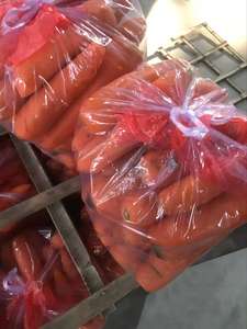 Frische Bio-Karotten Sorte 316 Rot 20cm 0,15kg Karton Mild Süßes Fasoliergewürzgemüse Marke Shandong Heli 3 Monate - Product Image 4