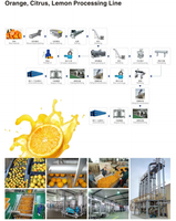 Línea de Producción de Jugo de Piña y Naranja NFC Equipada con Exprimidor, Homogeneizador de Alta Presión, Esterilizador y Máquina de Llenado
