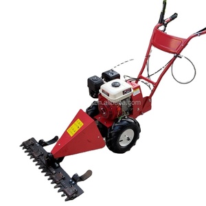 Tondeuse à gazon autotractée, moteur à essence, tondeuse forestière légère - Product Image 1