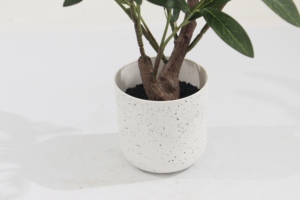 Arbre d'<span class=keywords><strong>olivier</strong></span> artificiel JWT3908, bonsaï de 60 cm, matériau PEVA/PE, aspect naturel, style nordique, décoration intérieure pour la maison et le bureau, décoration de mariage - Product Image 4
