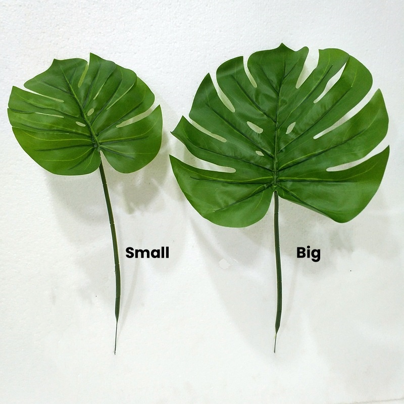 2# Green Big Monstera Leaf
