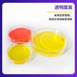 จานเพาะเชื้อ YINYUEBIO ขนาด 35 มม. 60 มม. 90 มม. ความโปร่งใสสูง สำหรับเพาะเลี้ยงเซลล์ - Product Image 4