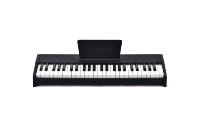 Upright Style Electronic Piano PVC Keyboard Titanium Alloy Stand Built Speakers Power Adapter Stickers Beginner Gift 49 Keys