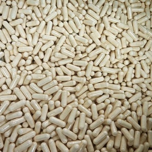 Cápsulas de Extracto de Raíz de Achicoria ODM OEM, Cápsulas de Raíz de Achicoria Naturales Puras para Apoyar la Salud Digestiva - Product Image 2