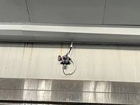 Detector de gas fijo, instrumento de análisis de gases, amoníaco, H2S, CO, SO2, O2, O3, H2, CL2, HCL, CO2, NO, NO2, gases combustibles y tóxicos