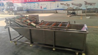 Luchtbelwasmachine / Watercirculatie groentewasmachine / Fruitwasmachine