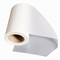 Film de transfert 3D PET haute clarté 30 cm et 60 cm pour imprimante DTF, rouleau de transfert thermique pour impression personnalisée de vêtements et t-shirts