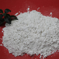 Argile blanc de poudre de kaolin de Metakaolin pour le ciment/béton