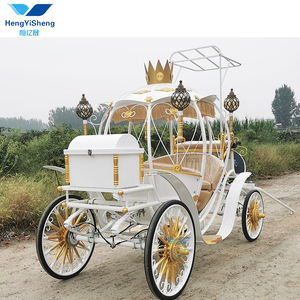 Carruaje de caballos de calabaza eléctrico elegante blanco personalizado de alta calidad Venta caliente transporte especial Hengyisheng China Hubei - Product Image 2