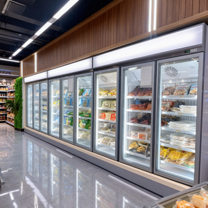Congélateur professionnel sur mesure avec portes vitrées, refroidissement par air, régulation mécanique de la température, option d'alimentation électrique - Product Image 1