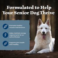Blue Buffalo Wilderness Lam & Gezonde Granen Senior Droogvoer voor Honden