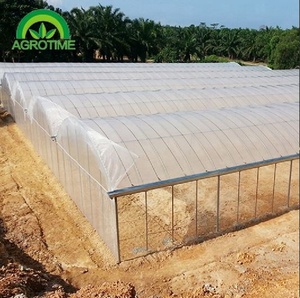 Serra Multi-span su larga scala adatta per le imprese <span class=keywords><strong>agricole</strong></span> - Product Image 5