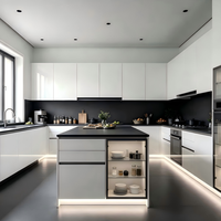 Meuble de cuisine haut de gamme durable, style minimaliste moderne, en contreplaqué blanc, avec porte vitrée, évier, tiroir et îlot noir lumineux.