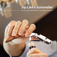 Personnalisé Portable Deluxe Rouge Vin Sommelier Résine Poignée Tire-Bouchon Bouteille Ouvreur de Vin