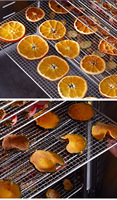 20 Plateaux Commercial Alimentaire Fruits Légumes Machine De Séchage Déshydrateur Fournisseur En Acier Inoxydable Électrique OEM Four D'usine À Vendre