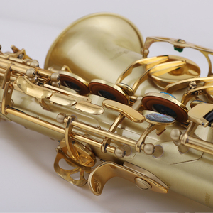 プロの陽極線画完成した管楽器S-40手頃な価格のSax ProfessionalEb Alto Saxophone with Accessories - Product Image 5