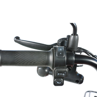 Venta caliente triciclo eléctrico Precio al por mayor 300-8 Cargo E Bike 650W Adulto Triciclo Bicicleta eléctrica 3 ruedas Scooter eléctrico