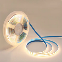 Offres Spéciales haute luminosité 8mm USB Cob bande lumineuse Kit 3M coupe libre 720 extérieur Pixel 12V pilote 24V LED PCB lampe corps