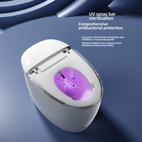 Système de toilette bidet intelligent à double chasse avec télécommande pour camping