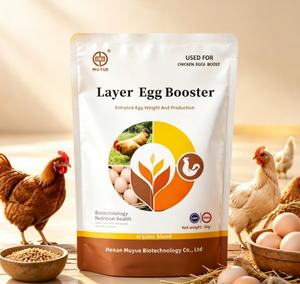 Prémélange nutritionnel avicole de qualité supérieure pour poules pondeuses, complément alimentaire pour augmenter la production d'œufs, fabrication OEM acceptable - Product Image 1