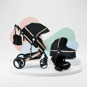Passeggino di Lusso 3-in-1 Greensky per Neonati con Seggiolino Auto, Leggero, Pieghevole, Telaio in Lega di Alluminio - Product Image 1