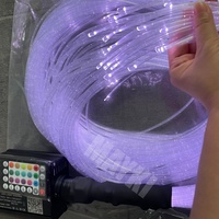 Rideaux lumineux à fibres optiques apaisants pour la stimulation visuelle et tactile, idéaux pour les salles sensorielles