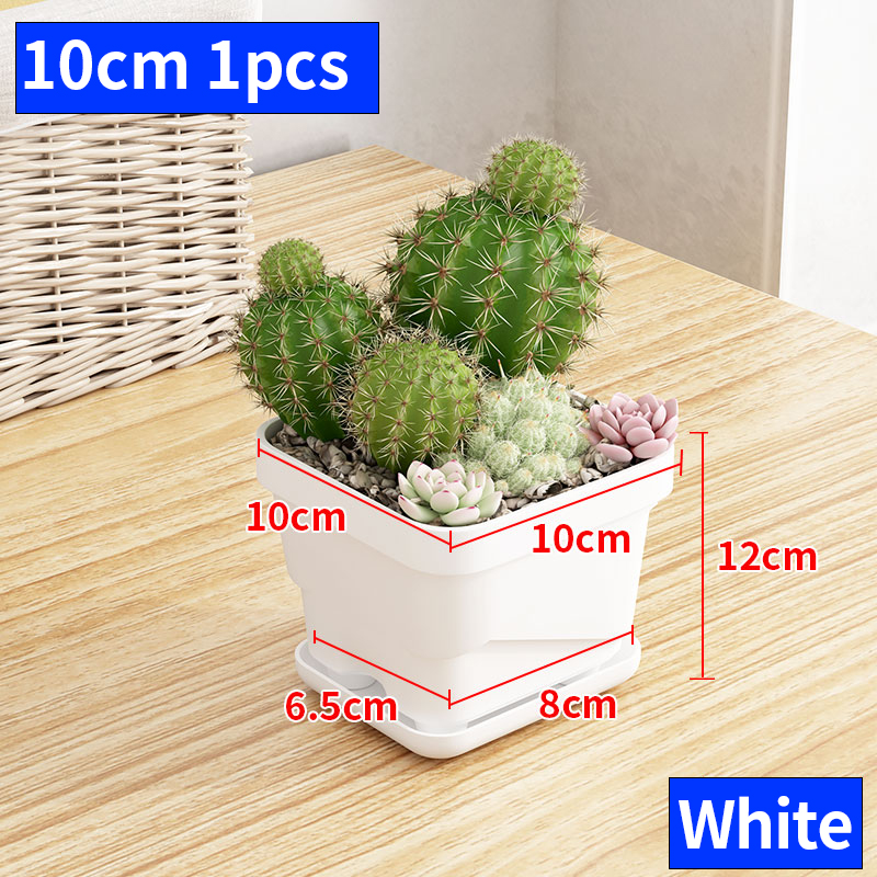 Blanc 10 cm 1 pièces
