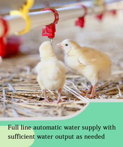 Bebedero Automático para Aves de Corral, Palomas y Pollos, con Tetina de Goteo, Modelo PH-<span class=keywords><strong>23</strong></span> - Product Image 6