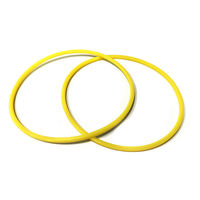 Yilin Pufferdichtungs-Set: Haupt-PU-Dichtungsringe, Zylinder-Staubdichtungen, Hochleistungs-Öldichtungen, Kartuschen-Mechanische Dichtungen