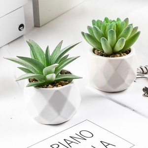 Plante verte Succulent Bonsaï Salon Plante Artificielle En Gros Décoration De Bureau Petit Bonsaï <span class=keywords><strong>Pot</strong></span> - Product Image 3