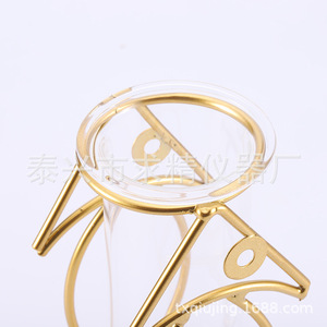 Minimalist Iron Vase With Glass Hydroponic <b>Container</b> Gold Color For Home Decor Plant Display - Product Image 2