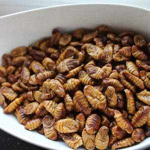 Pupas de gusano de seda vivas recién congeladas sin aditivos: un producto congelado especial hecho de gusanos de seda - Product Image 3