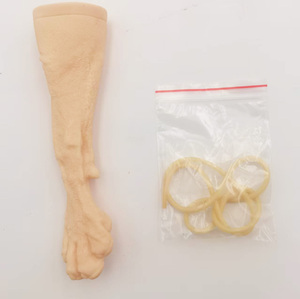 Gelsonlab Modèle de perfusion intraveineuse HSBM-537 pour petits chiens pour les sciences médicales - Product Image 3