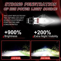 Ampoules de phare LED HID Xenon Plug & Play CAR-REFINE série D M60 6000K compatibles D2 D4 D2S D3S D4S, phares LED, feux de brouillard