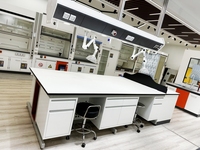 Mobilier de laboratoire scolaire Équipement Cabinet de laboratoire Table centrale Banc de travail de laboratoire avec évier