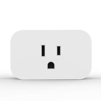 US-Standard Graffiti Smart Plug |   WLAN+Zigbee Drahtlose Verbindung, 15A Vollkupfer Fernbedienbare Steckdose