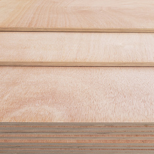 9mm 18mm 5x10 bouleau mélamine polyester eucalyptus contreplaqué <span class=keywords><strong>bois</strong></span> contreplaqué plaque Chine - Product Image 6