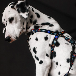 Fournisseur d'articles pour chiens : Harnais pour chien en nylon durable, respirant, de luxe, imprimé, personnalisé avec logo sur mesure et de haute qualité - Product Image 3