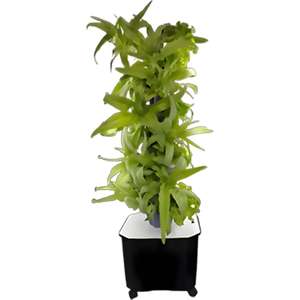 Système <span class=keywords><strong>de</strong></span> jardinage aéroponique en tour à 8 niveaux et 40 trous - Équipement <span class=keywords><strong>de</strong></span> culture hydroponique pour fleurs/fruits/légumes - Product Image 4