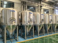 Cuves de Fermentation de Bière Artisanale 1000L, Unitanks 10BBL, Fermenteurs 10HL