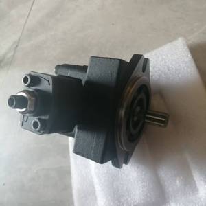 ปั๊มวาล์วแปรผัน VP-SF-15-D ปั๊มน้ำมันไฮดรอลิก ปั๊มอุตสาหกรรมประสิทธิภาพสูง ปั๊มวาล์วแปรผันจากจีน ปั๊มอุตสาหกรรมประสิทธิภาพสูง - Product Image 2