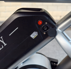 Scooter Elettrico Economico Personalizzabile nel Colore, Produttore da Tre Decenni, Vendita all'Ingrosso - Product Image 2